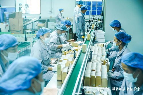 老滇凰云極工廠 以信息技術咨詢服務為引擎，驅動云南蜂業現代化轉型